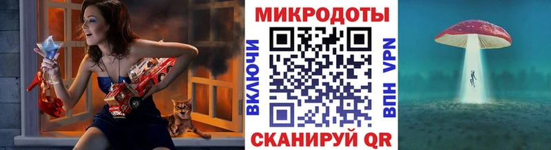 Псилоцибиновые грибы прущие грибы  Мурино 